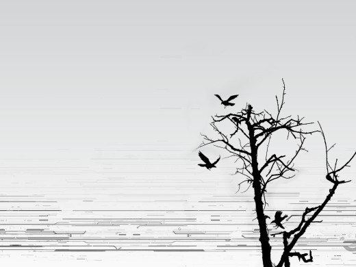 834098 (a): :2560x1920